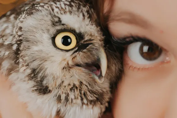 Casino Fever Bingo Tugi